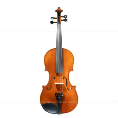 羅德里希·佩塞爾德 #704A 中提琴 2001 - dragonviolin.com